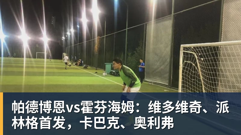 帕德博恩vs霍芬海姆：维多维奇、派林格首发，卡巴克、奥利弗